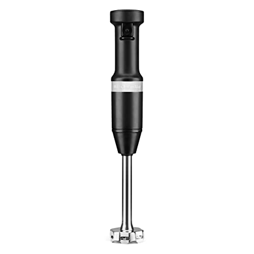 Immersion Blender