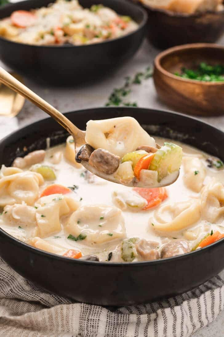 A black bowl filled with easy chicken tortellini soup garnished with Parmesan cheese, with a gold spoon lifting out a spoonful.