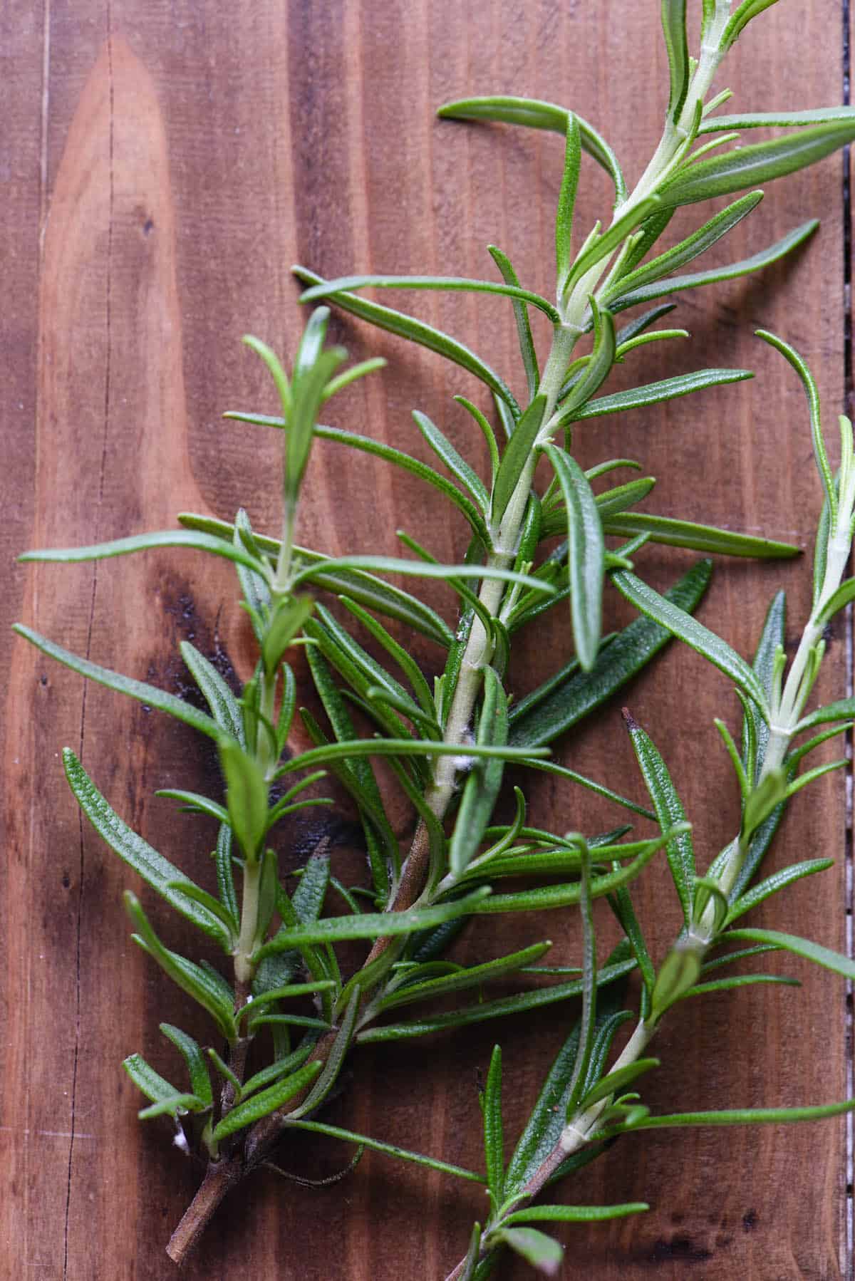 This homemade Rosemary Simple Syrup will make you feel like a fancy bartender, right in your own kitchen. Whip up a batch of this, and use it for whisky, gin, vodka or mocktails. | foxeslovelemons.com Overhead photo of fresh needly herb sprigs on wooden table.